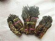 招商引资