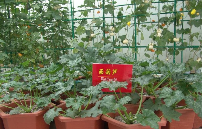 招商引资